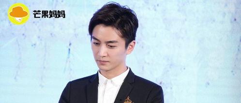 娱乐圈吃瓜情报局陈晓,娱乐圈吃瓜情报局揭秘，明星背后的故事