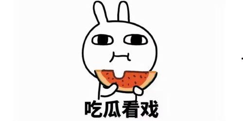 娱乐吃瓜酱玩梗